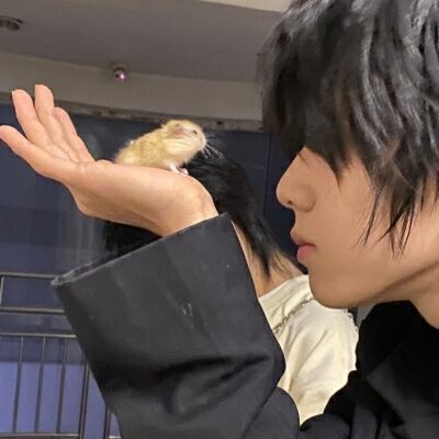 刷人气直播软件 - 抖音涨赞一元1000个,楚轩代刷网qq代刷网,沐白代刷网24小时自助下单,qq刷业务网站平台卡盟